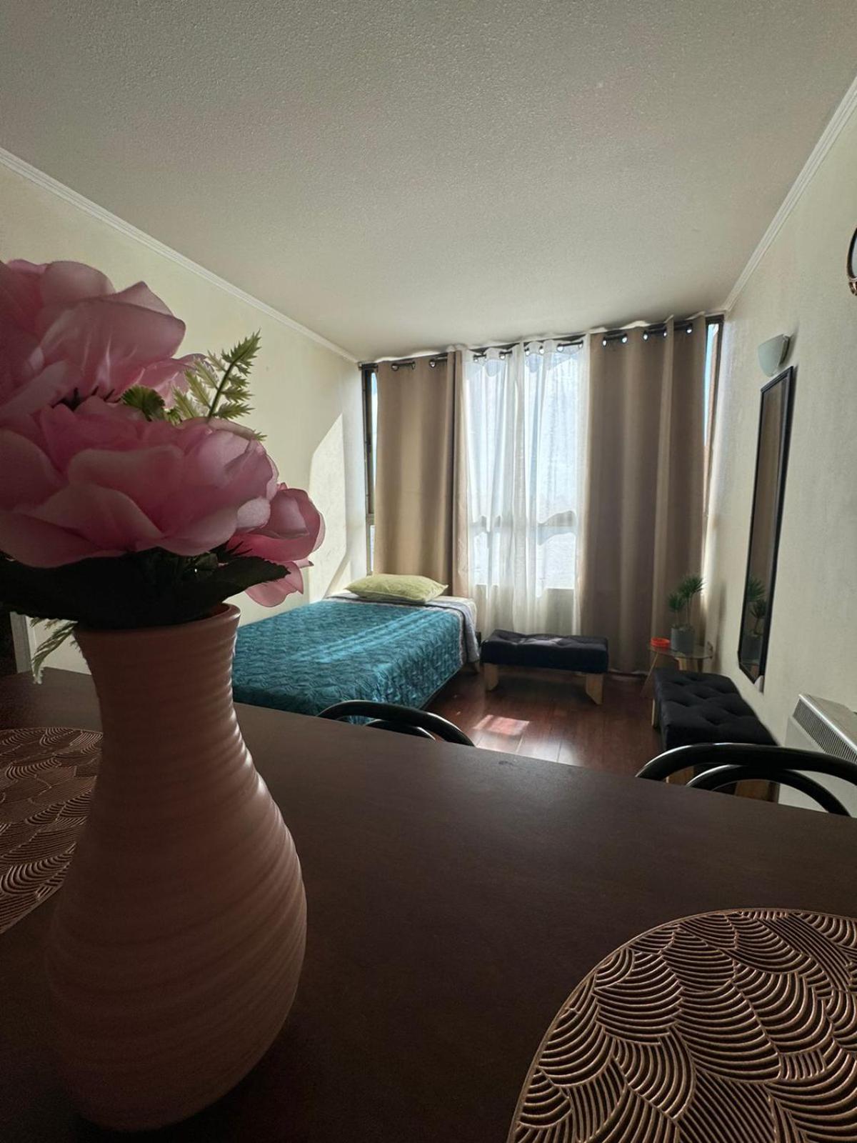Apartamentos Orquidea Suite 圣地亚哥 外观 照片