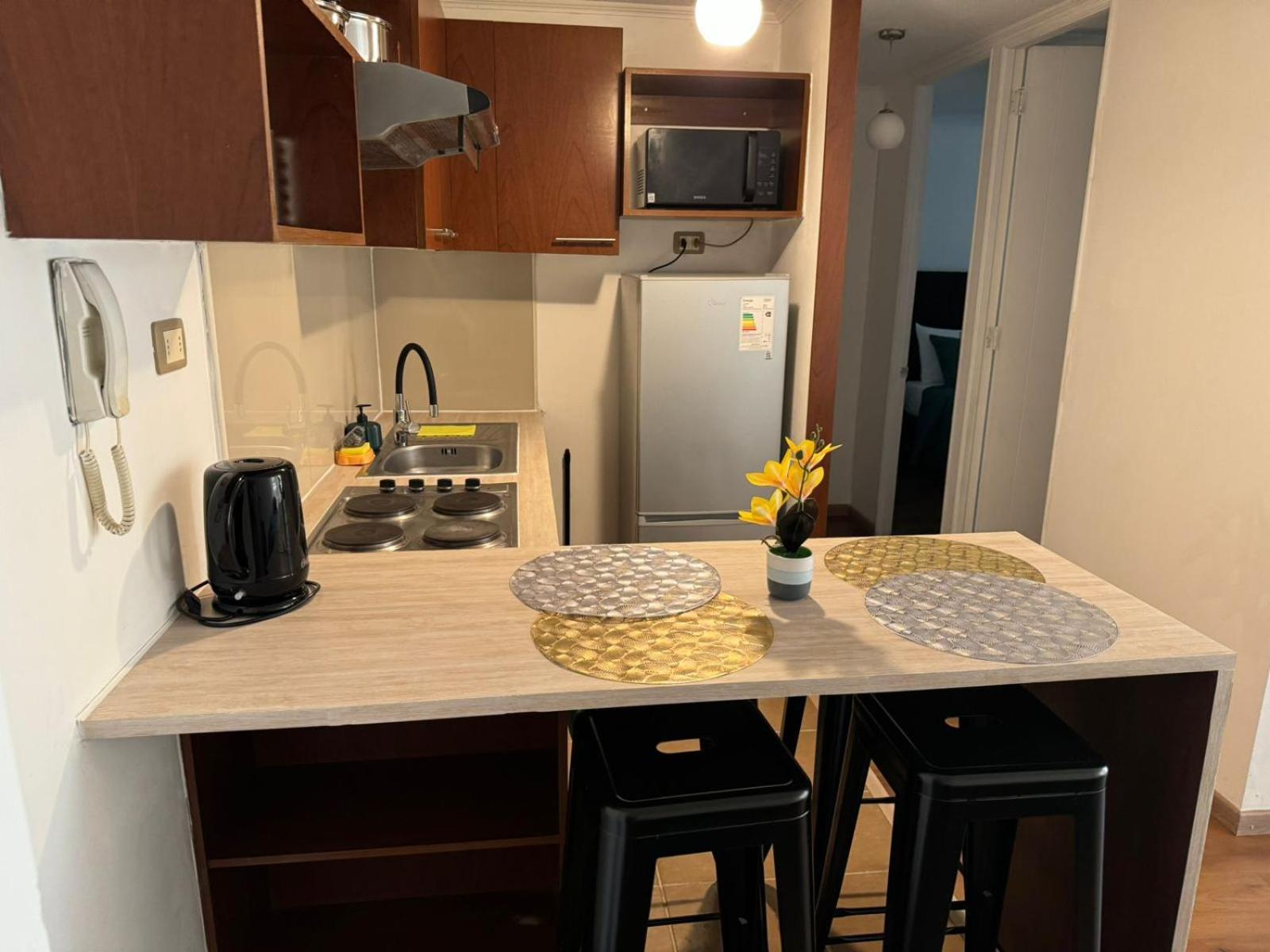 Apartamentos Orquidea Suite 圣地亚哥 外观 照片