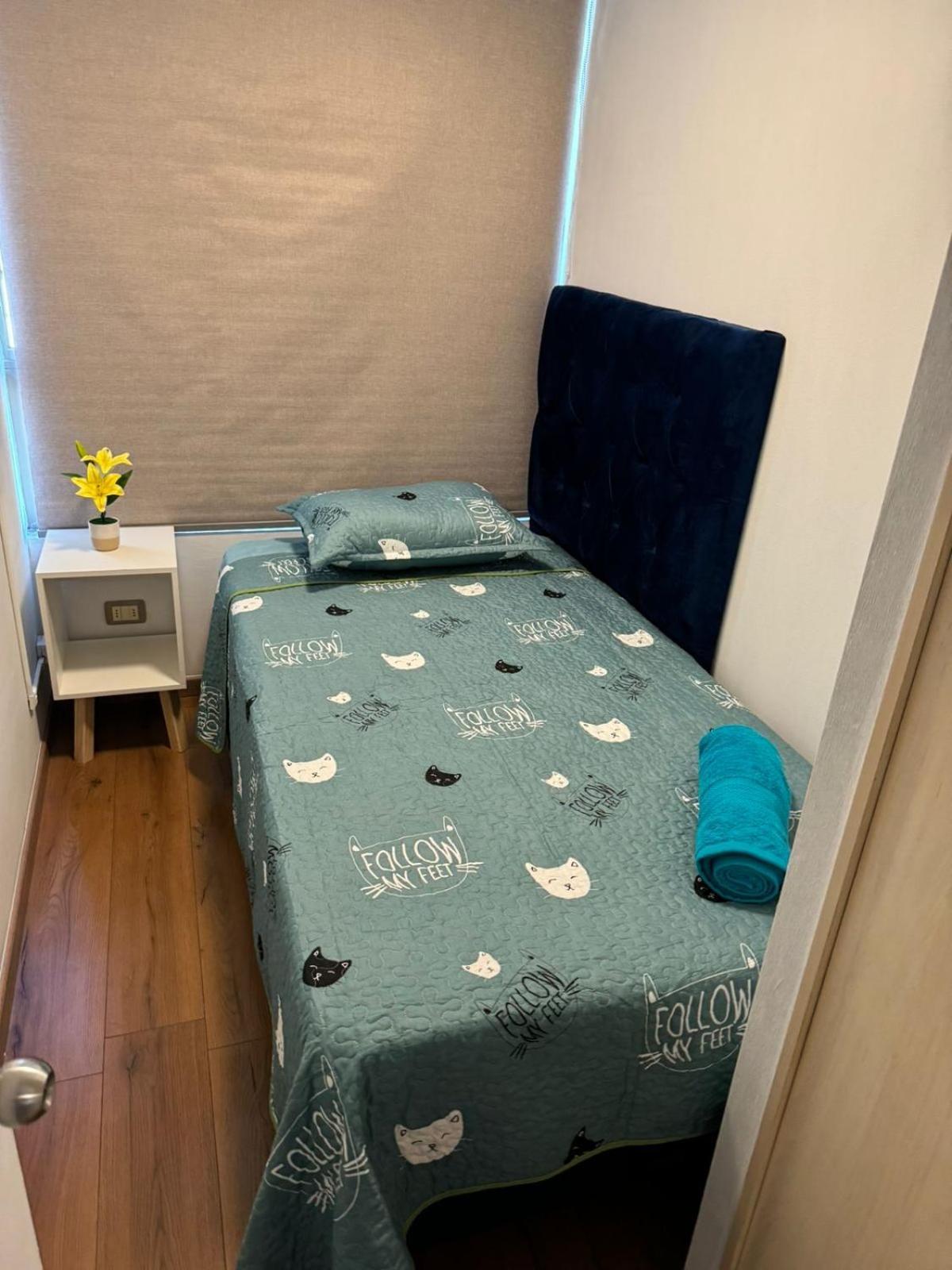Apartamentos Orquidea Suite 圣地亚哥 外观 照片